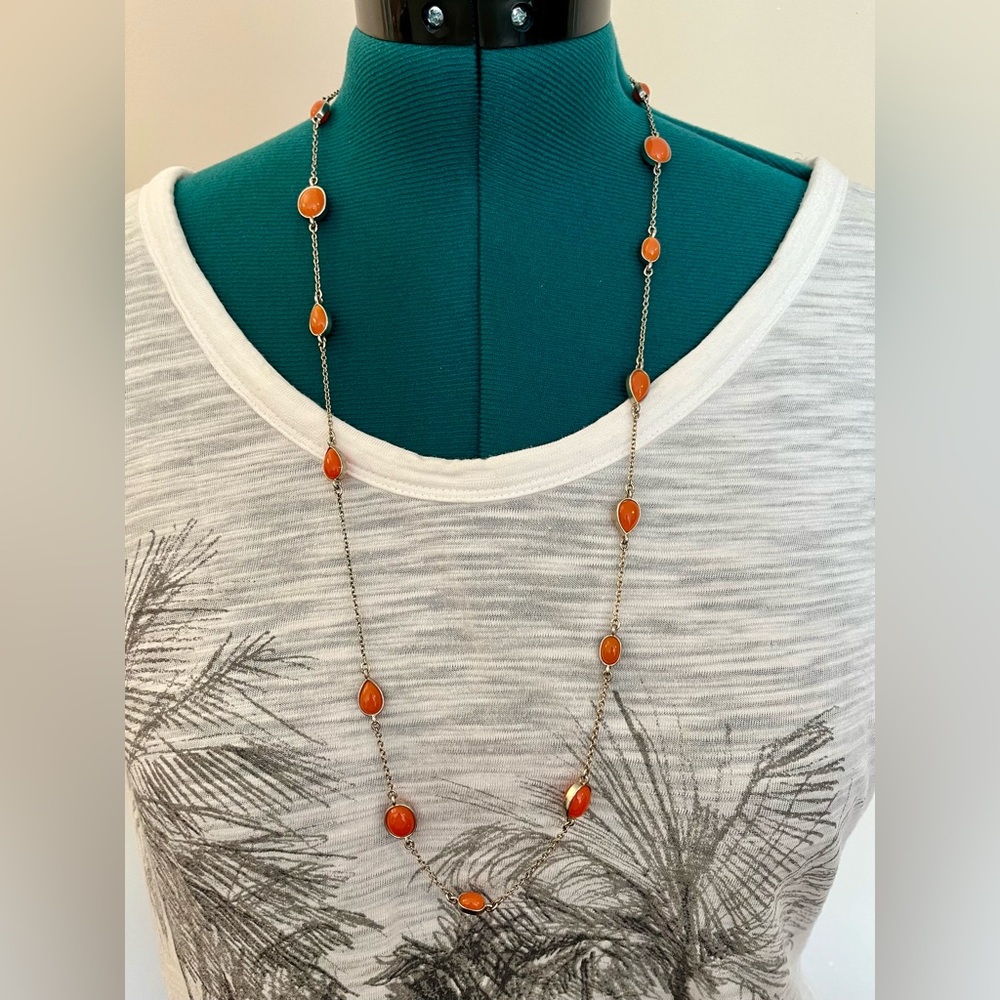💎 Banana Republic Long Necklace